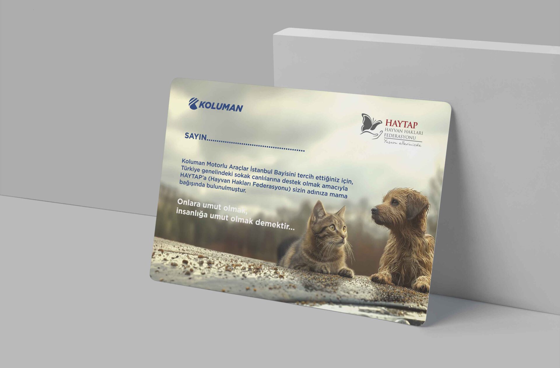 Koluman Haytap Davetiye